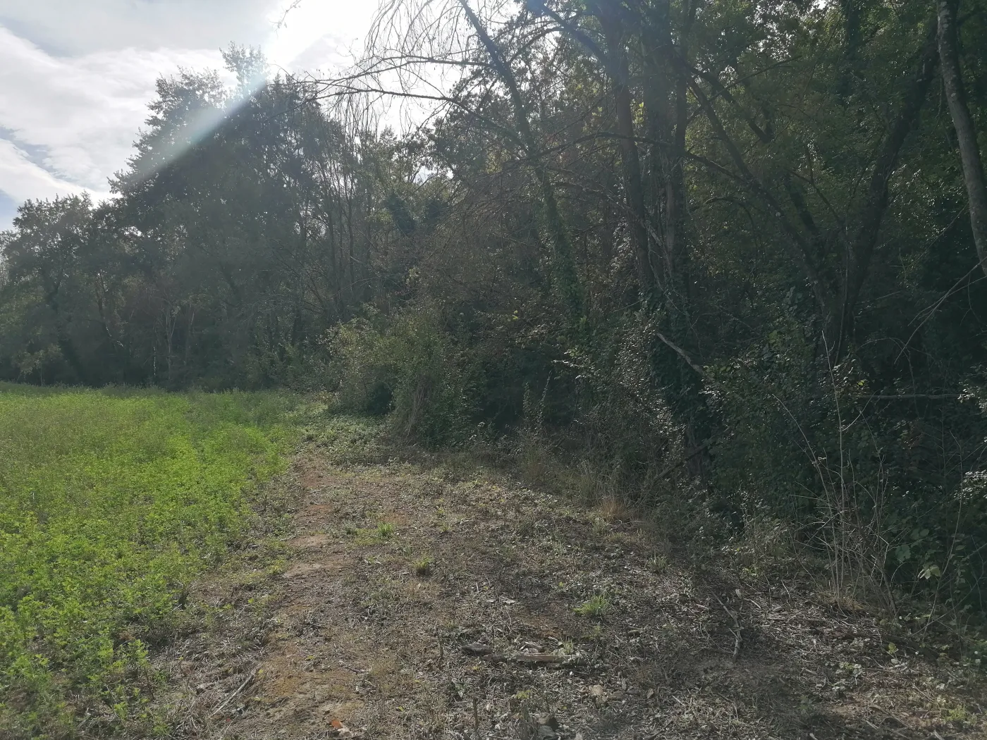 Cammino la Terra di Marca: Gli incredibili sentieri naturalistici della zona dei cappelli