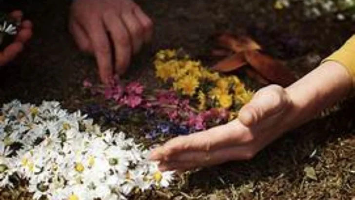 Grottazzolina. La bellezza e la salute. Le erbe aiutano. Un viaggio che lega antichità e contemporaneità