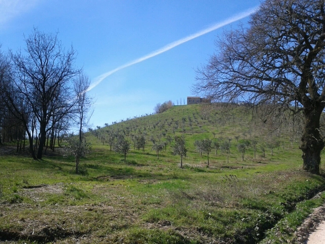 Montegiorgio. Una giornata a Montemilone. A 360 gradi nell’Officina del Sole